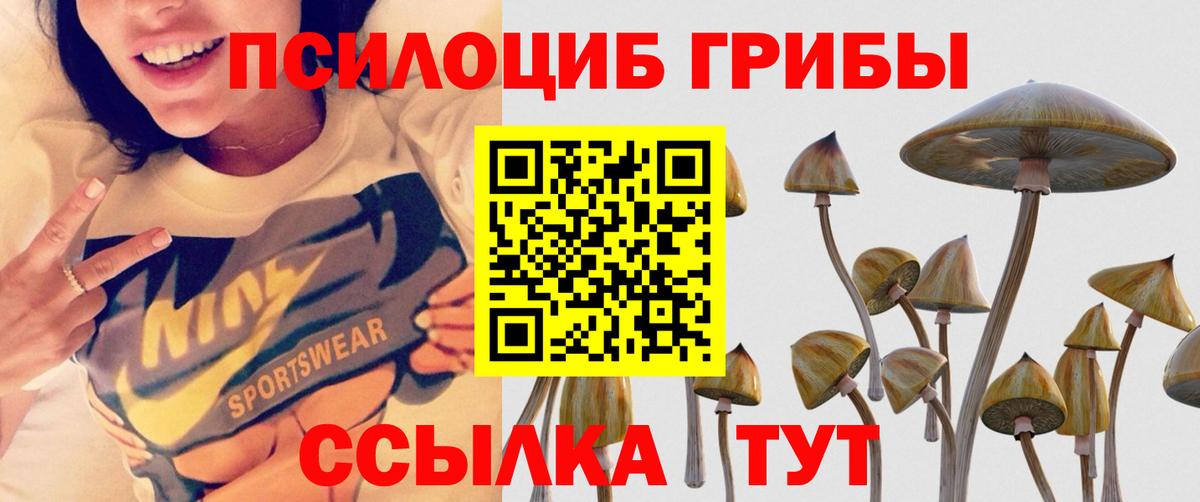 Миллерово  Псилоцибиновые грибы Psilocybine cubensis  Вход с VPN 